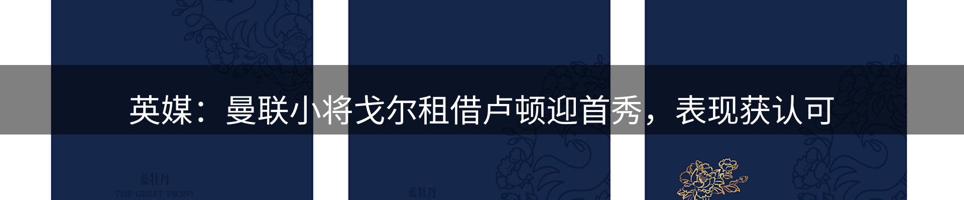 内页banner